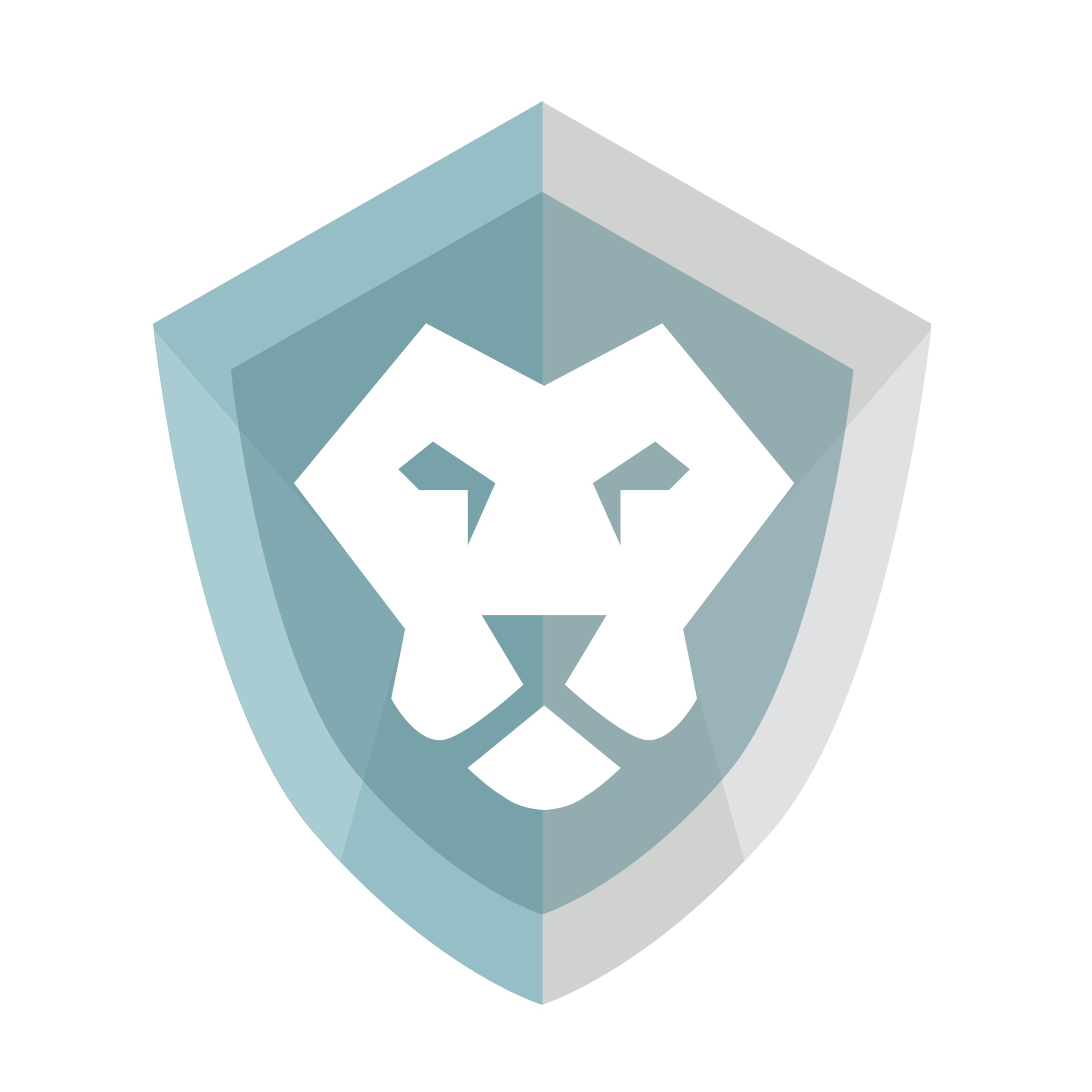  Кредитный комиссар