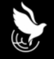  Центр банкротства физических лиц (БФЛЦ )