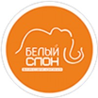  Белый Слон