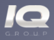 АЙКЬЮ ГРУПП (IQ GROUP)